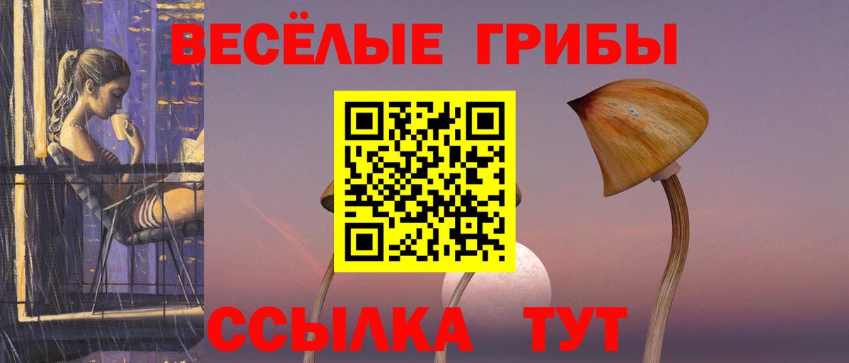Барнаул  Псилоцибиновые грибы MAGIC MUSHROOMS  Вход с VPN  Псилоцибиновые грибы Magic Shrooms 